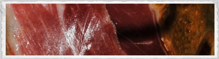 Ibéicas de Bellota Ibéicas de Bellota